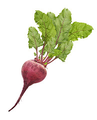 Image showing Beetroot With Leaves Isolated On White