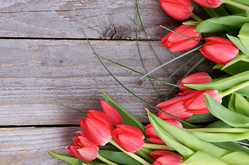 Image showing Spring Tulips