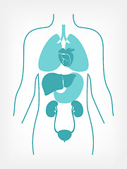 Image showing Medical Infographic.