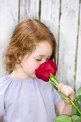 Image showing Smelling a Rose