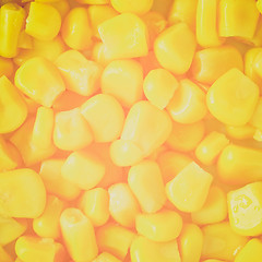 Image showing Retro look Maize corn
