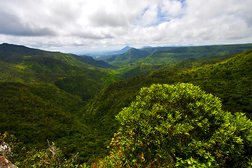 Image showing   river mountain  in mauritius 