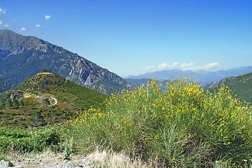 Image showing Landscape in Corsica