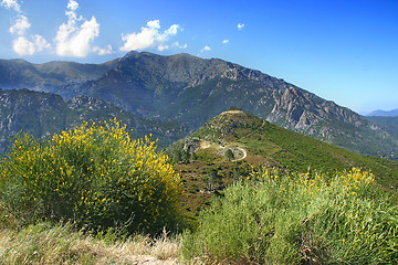 Image showing Corsica Landscape