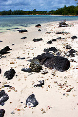 Image showing   bay foam footstep indian ocean 