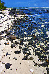 Image showing blue bay  footstep indian ocean  