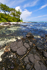 Image showing  blue bay foam   deus cocos in mauritius 