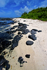 Image showing  blue bay foam footstep indian ocean some stone in the island of