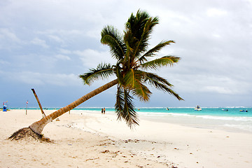 Image showing paradise beach in mexico  