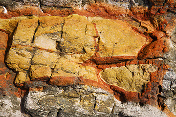 Image showing abstract lanzarote   lichens 