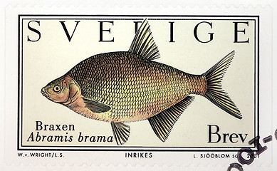 Image showing Common Bream Stamp