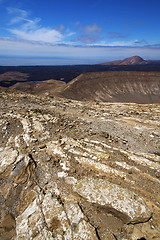 Image showing timanfaya vulcanic  lanzarote  plant flower bush