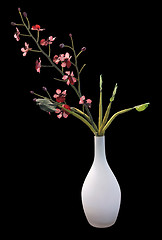 Image showing Red orchid in a vase