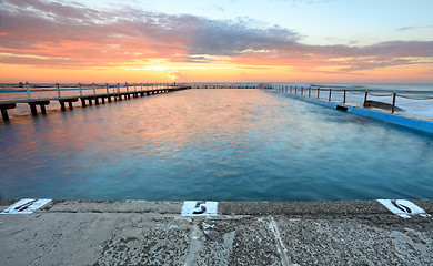 Image showing Sunrise Swim North Narrabeen