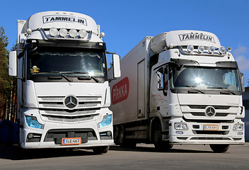 Image showing White Mercedes-Benz Actros Trucks on a Yard