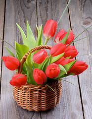 Image showing Spring Tulips