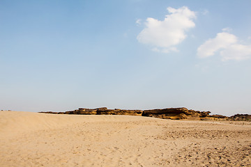 Image showing sand and desert plants