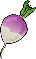 Image showing Turnip