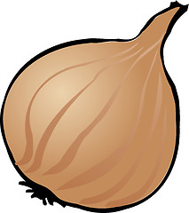 Image showing Onion