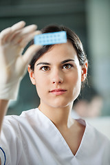 Image showing Scientist Analyzing Microscope Slide