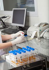 Image showing Technician Labeling Test Tube In Laboratory