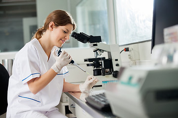 Image showing Researcher Using Pipette In Laboratory