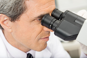 Image showing Scientist Using Microscope In Lab