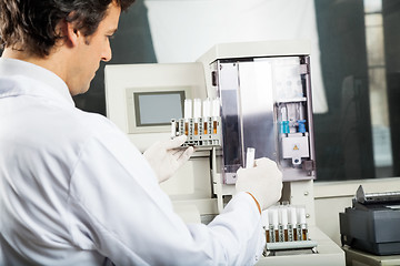 Image showing Technician Performing Urine Analysis In Lab