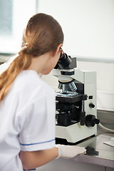 Image showing Scientist Looking Through Microscope