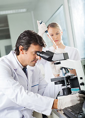 Image showing Male Scientist Using Microscope In Lab