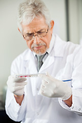 Image showing Technician Examining Microtiter Plate