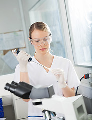 Image showing Researcher Filling Liquid Into Test Tube