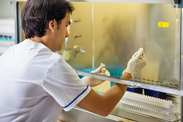 Image showing Technician Experimenting In Laboratory