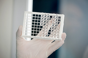 Image showing Technician Holding Rack Of Test Tubes In Lab