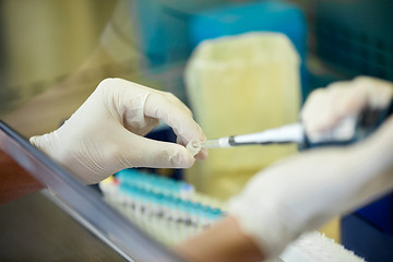 Image showing Researcher Experimenting In Laboratory