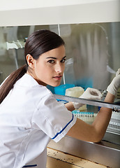 Image showing Confident Technician Experimenting In Laboratory