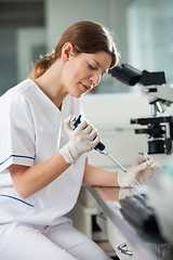 Image showing Technician Using Pipette In Laboratory