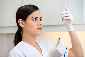 Image showing Technician Examining Blood Sample