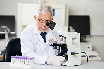 Image showing Researcher Examining Microscope Slide In Lab