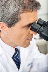 Image showing Scientist Using Microscope In Lab