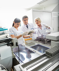 Image showing Team Analyzing Samples In Laboratory