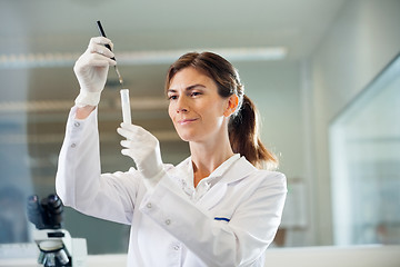 Image showing Confident Scientist Examining Test Tube