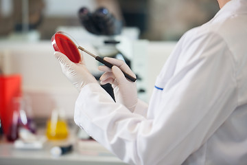 Image showing Scientist Examining Petri Dish With Blood Sample