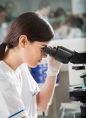 Image showing Female Researcher Looking Into Microscope In Lab