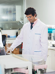 Image showing Researcher Working In Laboratory