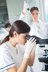 Image showing Female Researcher Using Microscope