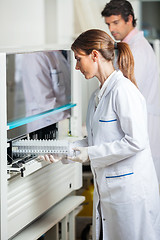 Image showing Researcher Loading Samples In Analyzer