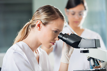 Image showing Female Technician Looking Into Microscope