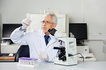 Image showing Scientist Examining Microscope Slide In Lab