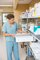 Image showing Nurse Arranging Container In Storage Room